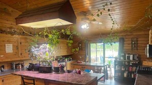 Interior de una cabaña de madera con una isla en la cocina, taburetes de bar y plantas colgantes.