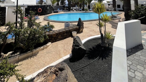 Un espace piscine agrémenté de palmiers, d’un mur en pierre et d’un ciel d’un bleu limpide.