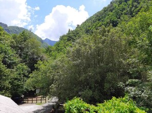 A lush green landscape with dense foliage and a clear sky.