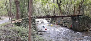 A forested area with a small stream under a bridge.