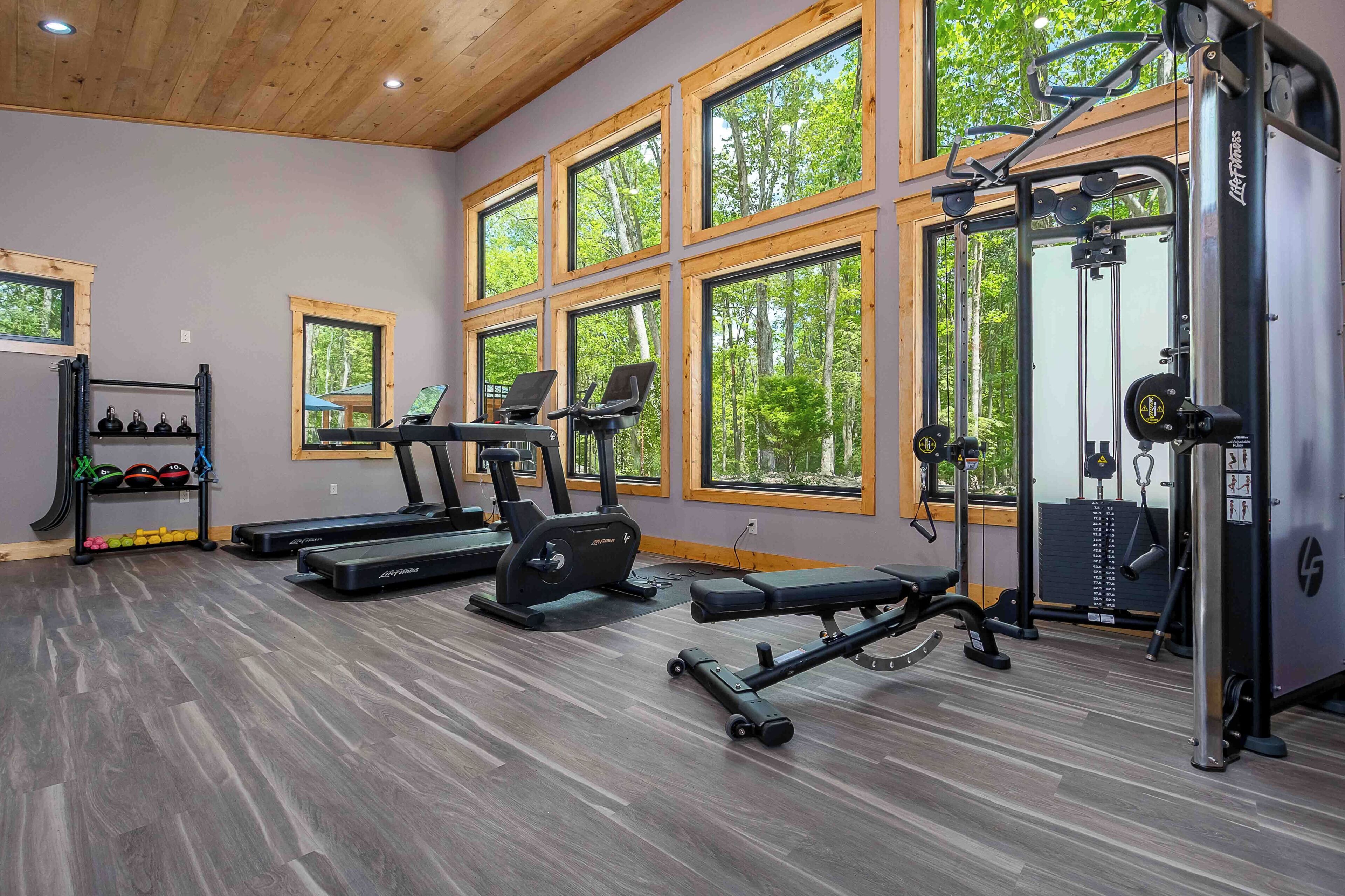 A gym with treadmills, a bench press, and a weight machine.