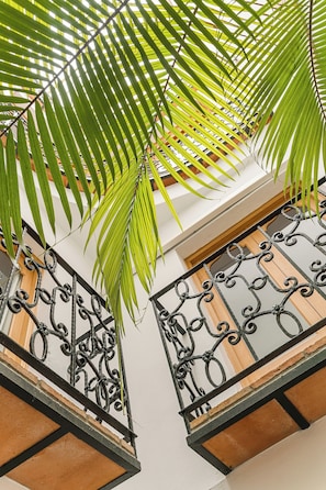 A balcony with wrought iron railings and a palm tree.