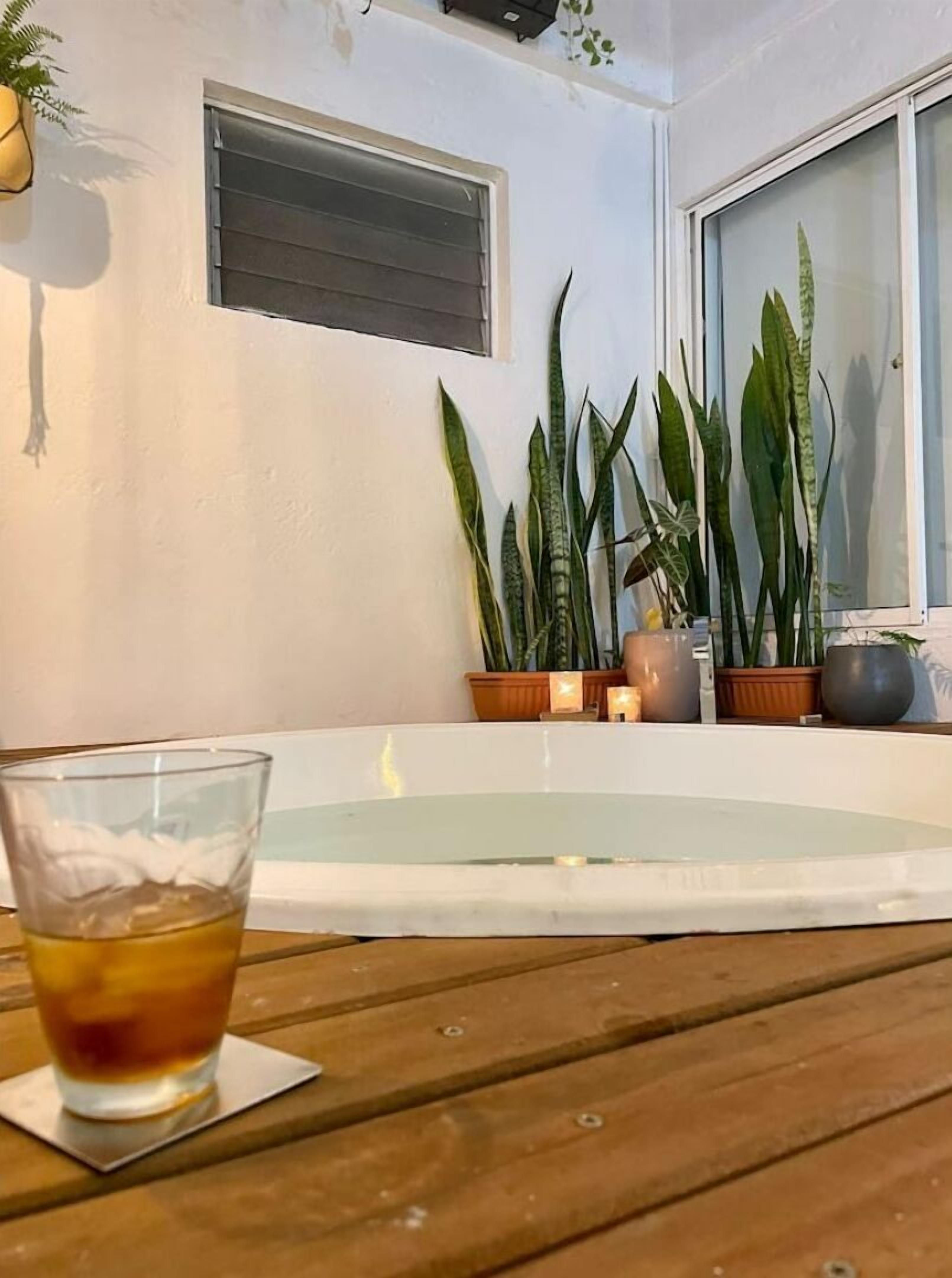 Secador de cabelo, toalhas de banho, sabonete, papel higiênico