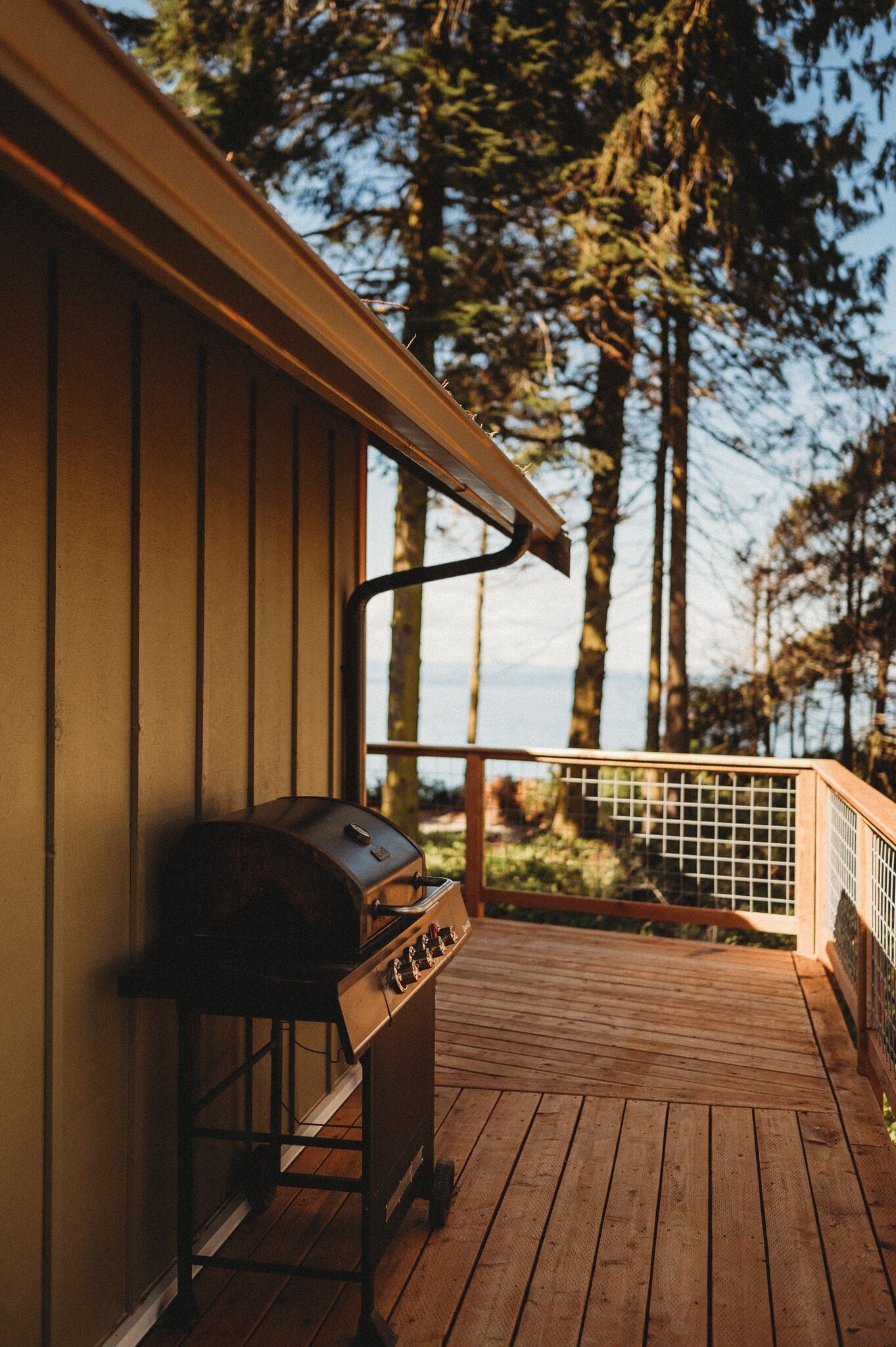 Luxury Suite | Terrace/patio