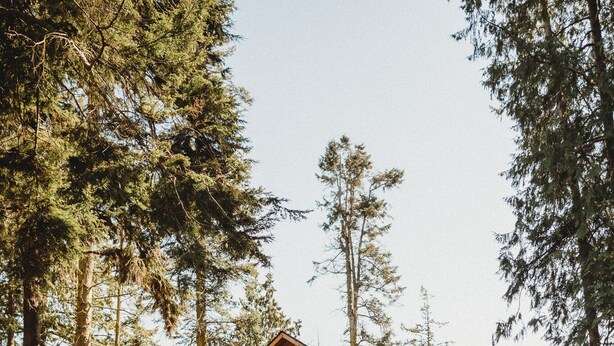 A wooden cabin with a balcony, surrounded by tall trees. - Woodland Bluff (Port Angeles)