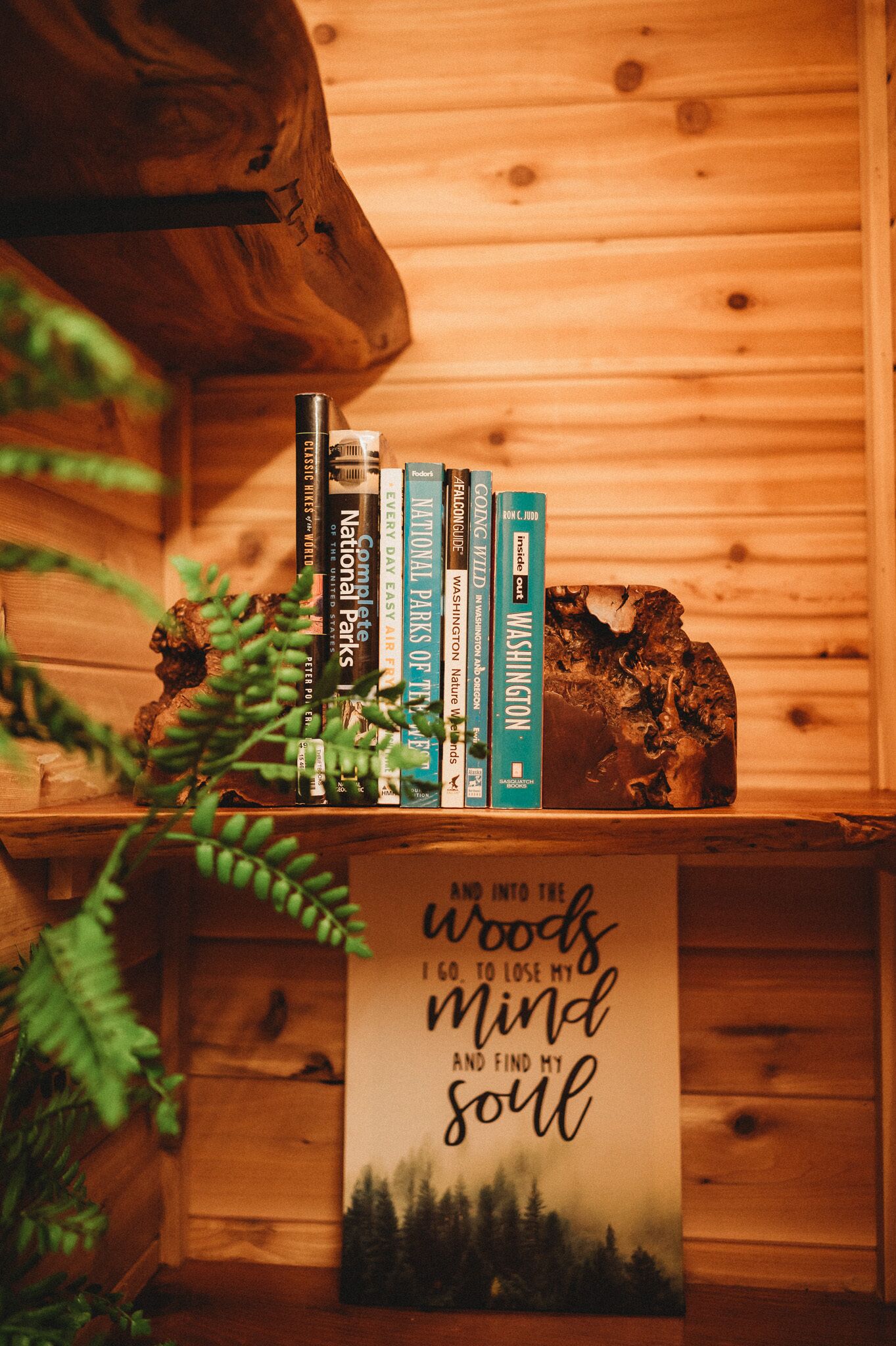 A wooden shelf with books and a decorative rock.