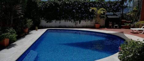 A swimming pool with a curved edge, surrounded by potted plants and a white wall.