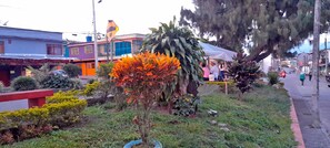 Exterior - Apartahotel Tia Inés (Montenegro)