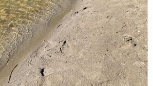 Een rivieroever met helder water en een zandstrand.