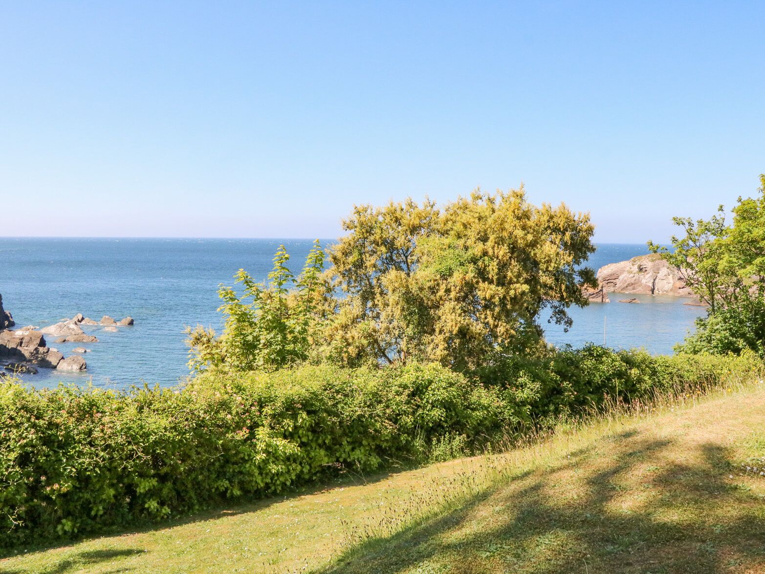 A coastal landscape with a clear view of the sea, a prominent tree, and rocky outcrops.