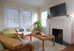 Smart TV, fireplace, books