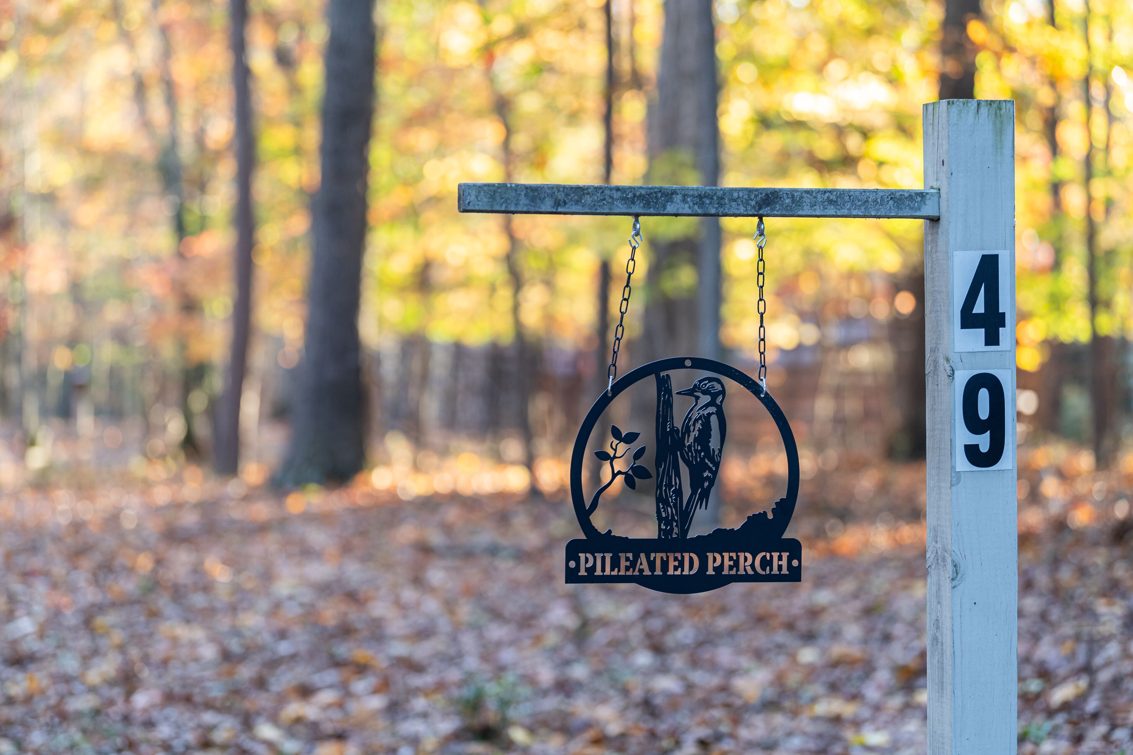 Un letrero de madera con una ilustración de un ave y el texto "Pileated Perch" colgado de una cadena metálica.