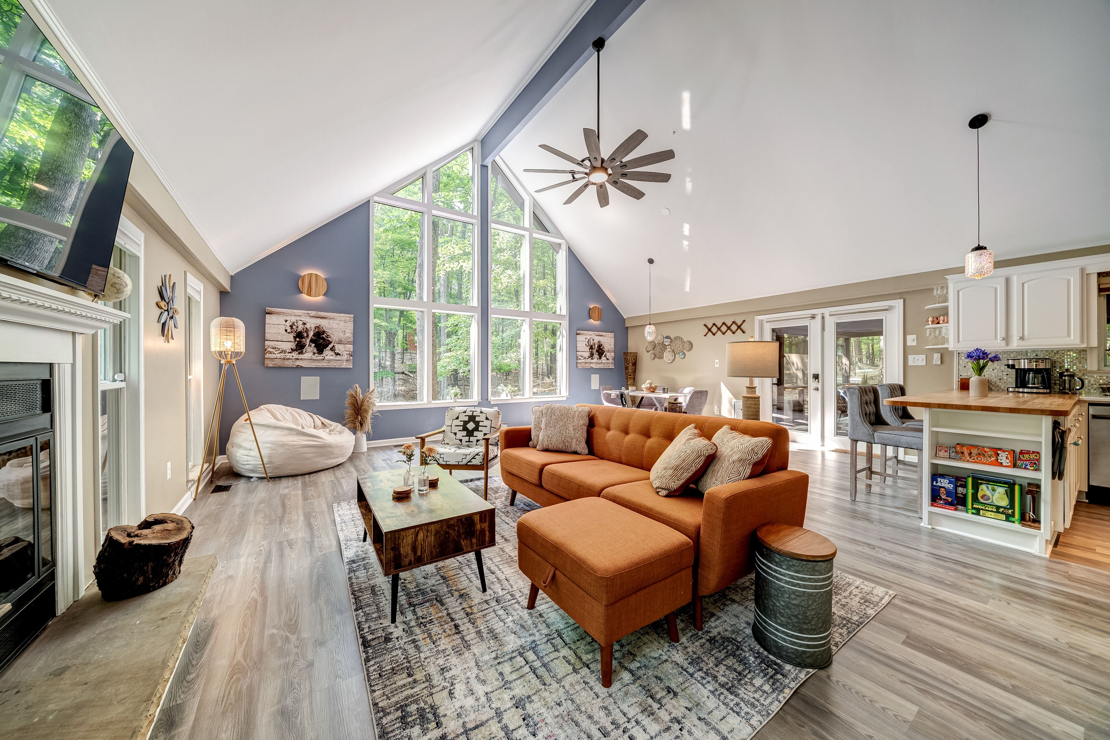 Smart TV, fireplace, books, stereo