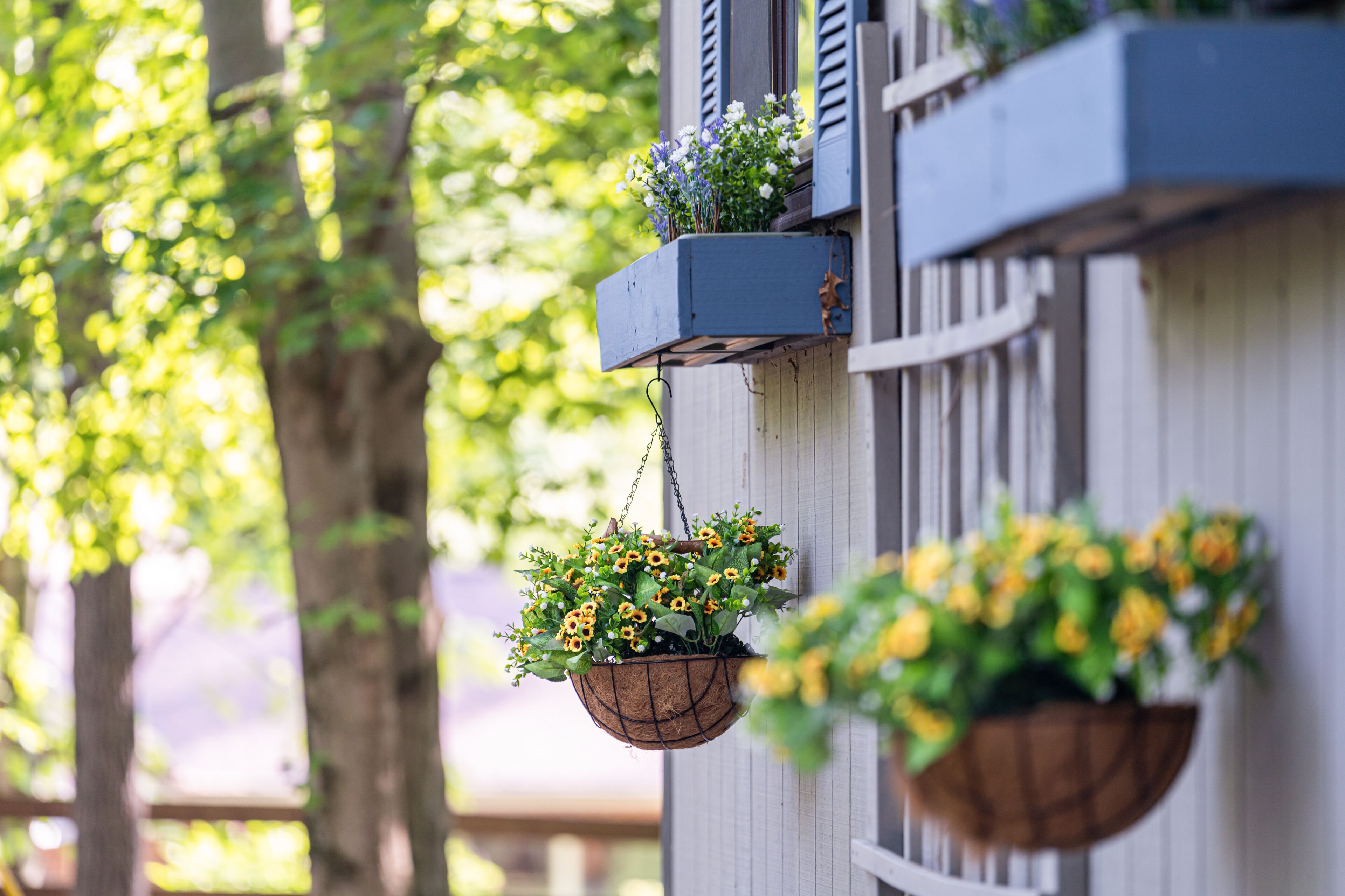 A building with hanging flower baskets on the exterior wall.