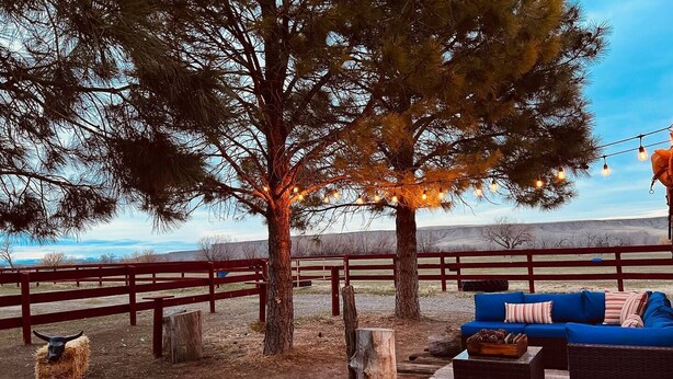 A rustic outdoor seating area with a blue sofa, wooden posts, and a tree with string lights.