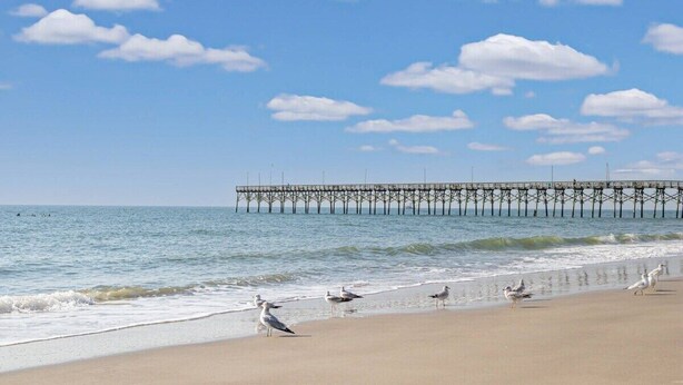 Une plage avec des mouettes, une jetée et des vagues calmes.