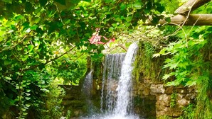 A wooden bridge leading to a waterfall surrounded by lush greenery. - Uyku Vadisi Otel (Milas)