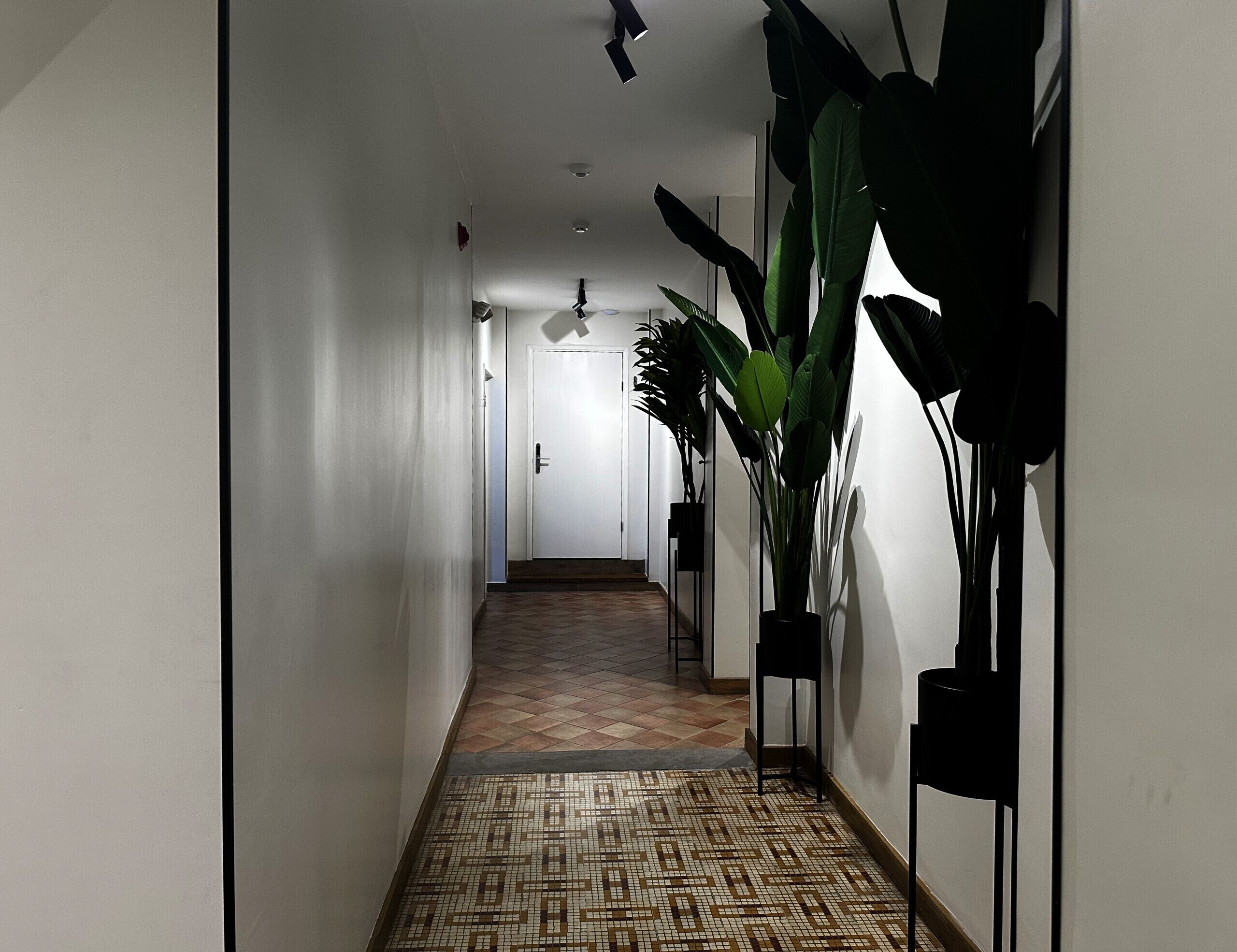 Un corridoio con pavimento decorato, una porta bianca in fondo e grandi piante in vaso a destra.