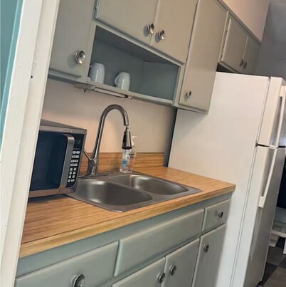 Lake Eola view 1 bedroom Thornton Park