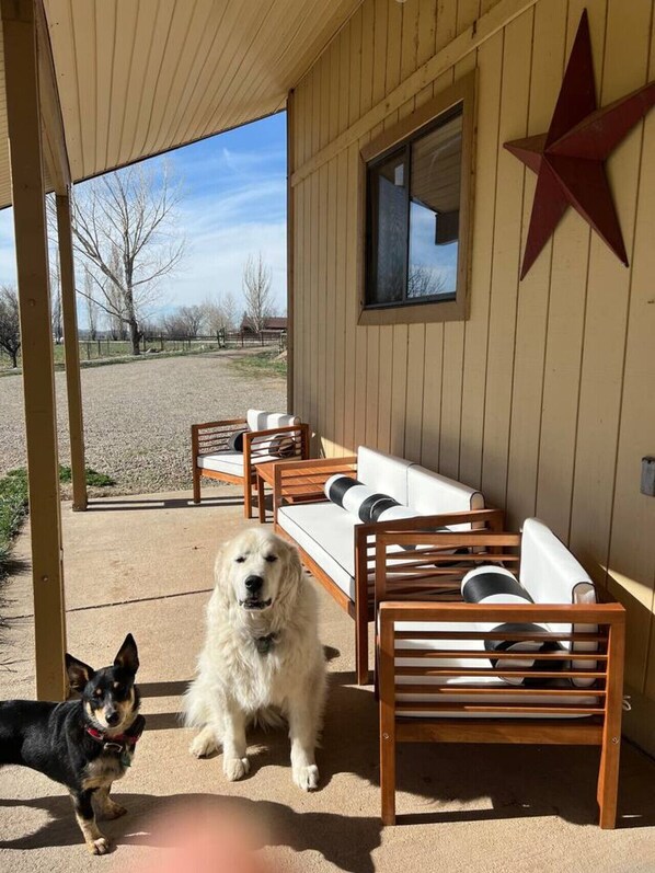 Un patio cubierto con una fila de sillas de madera y un sofá blanco, un adorno con forma de estrella roja en la pared, y un perro sentado en el patio.