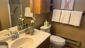 Dusche, Haartrockner, Handtücher, Seife