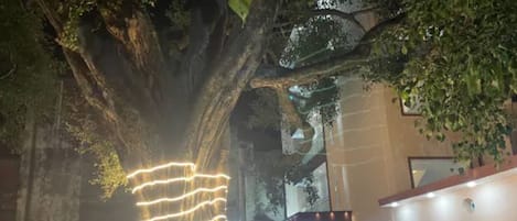 A tree wrapped with lights, a building with a sign reading "The Vaishvik Affordable Luxury Hotel," and parked cars.