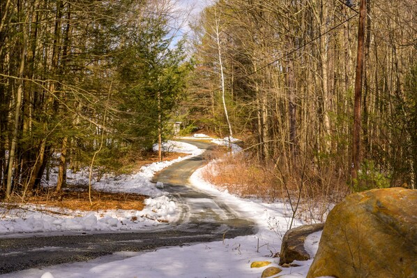 A narrow, snow-covered road winding through a dense forest. - Outdoor Sauna, Hot tub, Fire Pit, Dogs Welcome! (Great Barrington)