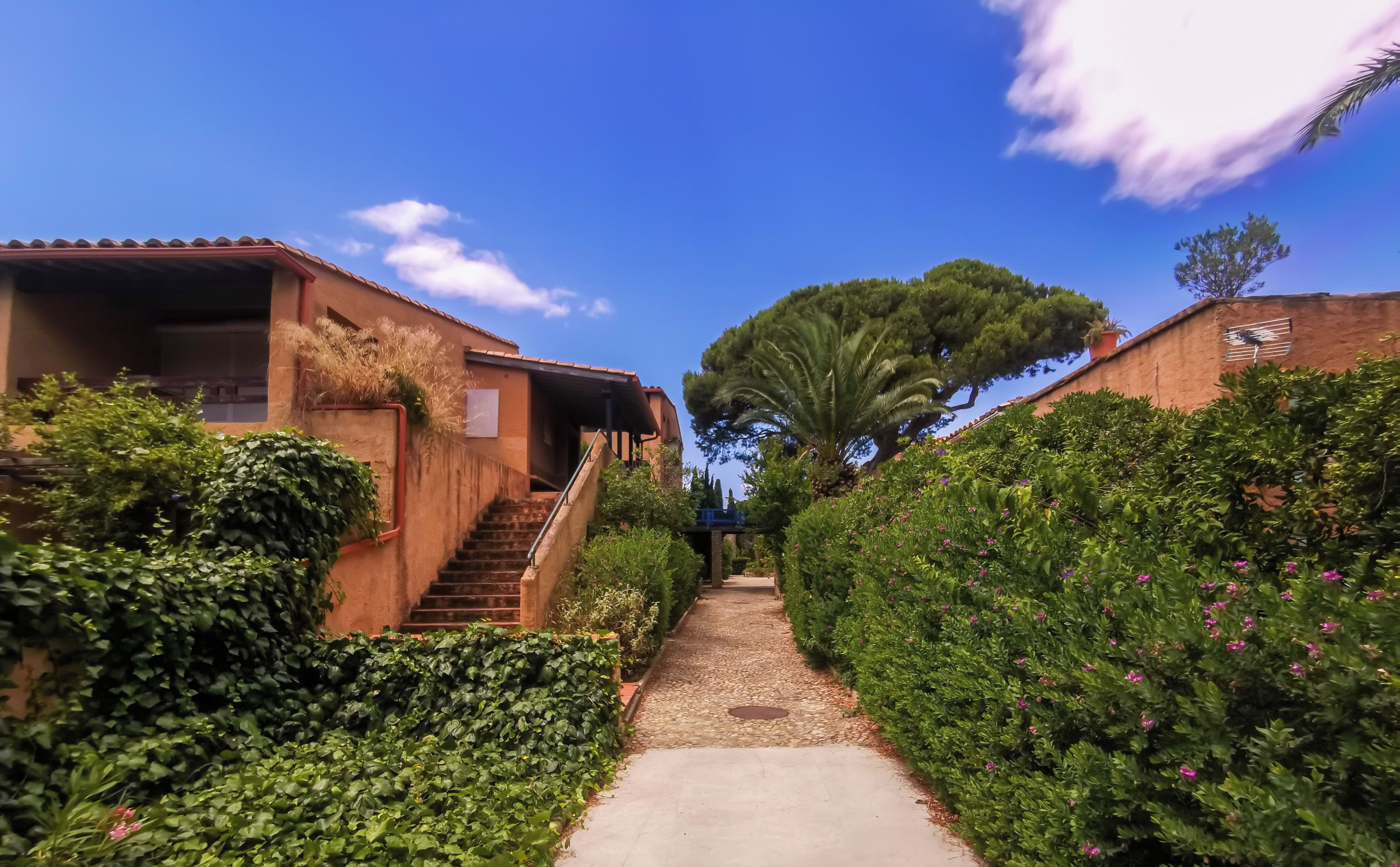 A pathway flanked by lush greenery and a building with a red-tiled roof.