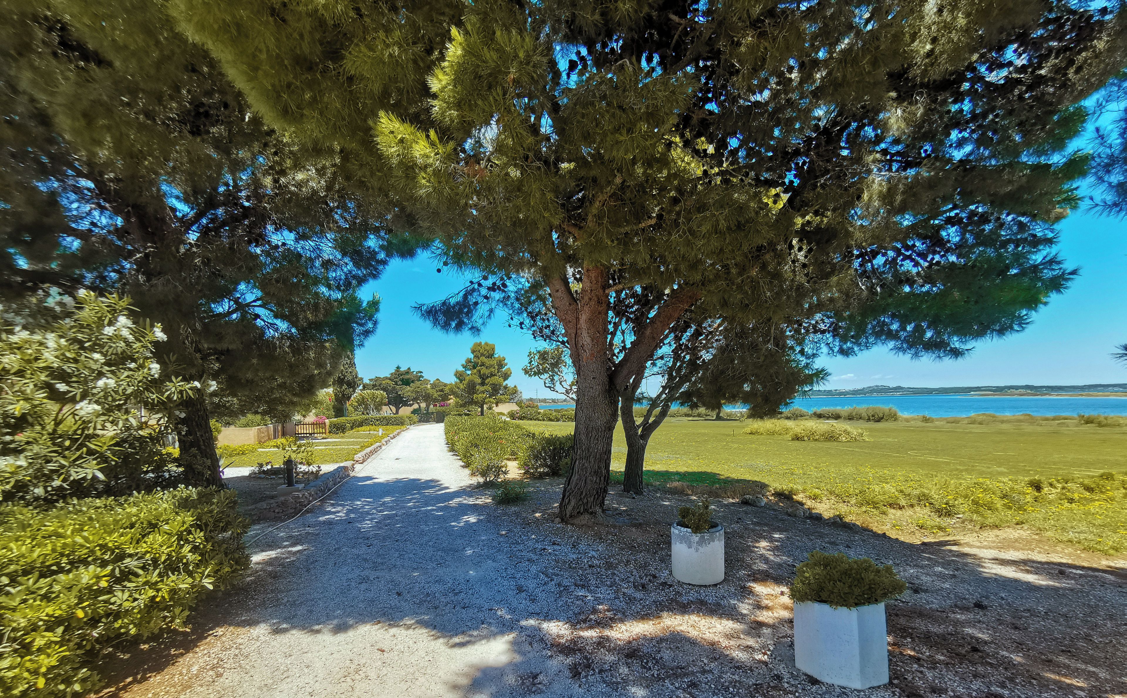Un sentier de gravier mène à un point de vue panoramique sur un paysage côtier, avec des arbres et un ciel dégagé.