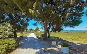 A gravel path leading to a scenic view of a coastal landscape with trees and a clear sky.