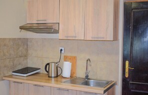 Fridge, stovetop, cookware/dishes/utensils