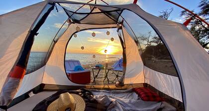 Best Maui Adventure!!  Explore the island while you sleep under the stars