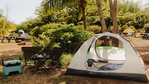 Ein Campingplatz mit Zelt, Klappstühlen, Picknicktisch und einer tragbaren Kühlbox.