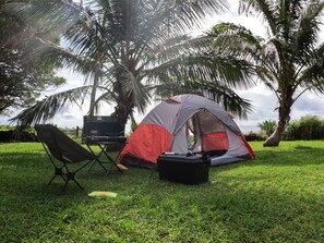 Property grounds - Best Maui Adventure!!  Explore the island while you sleep under the stars (Kahului)
