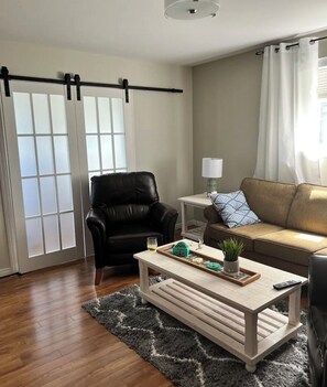 TV connectée, cheminée, lecteur de DVD, livres