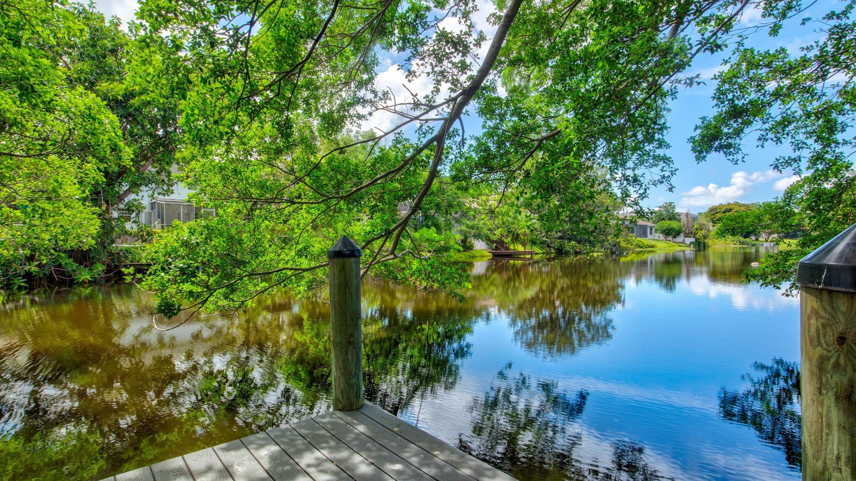 A calm water body surrounded by lush greenery and a wooden dock.