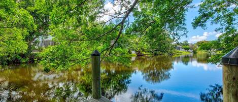 A calm water body surrounded by lush greenery and a wooden dock.