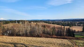 A landscape with a clear view of a mountain range, a forested area, and open fields.