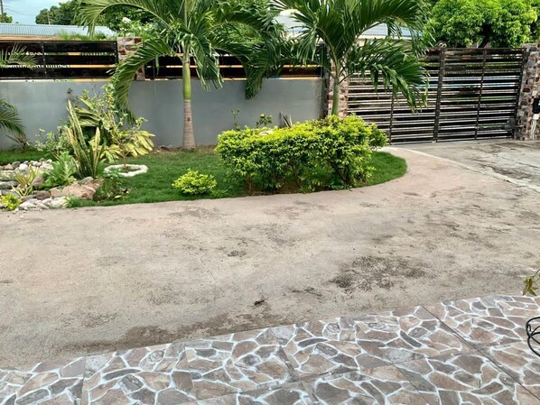 A concrete patio with a stone border, surrounded by a small garden with various plants and a palm tree. - Comfortable Stay  (Kingston)