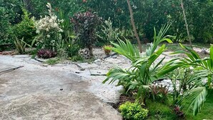 En sti af beton der fører til en frodig have med forskellige planter og et lille bassin.