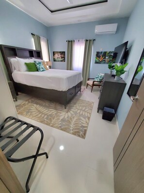 Quarto com cama, escrivaninha, cadeira, televisão e planta.