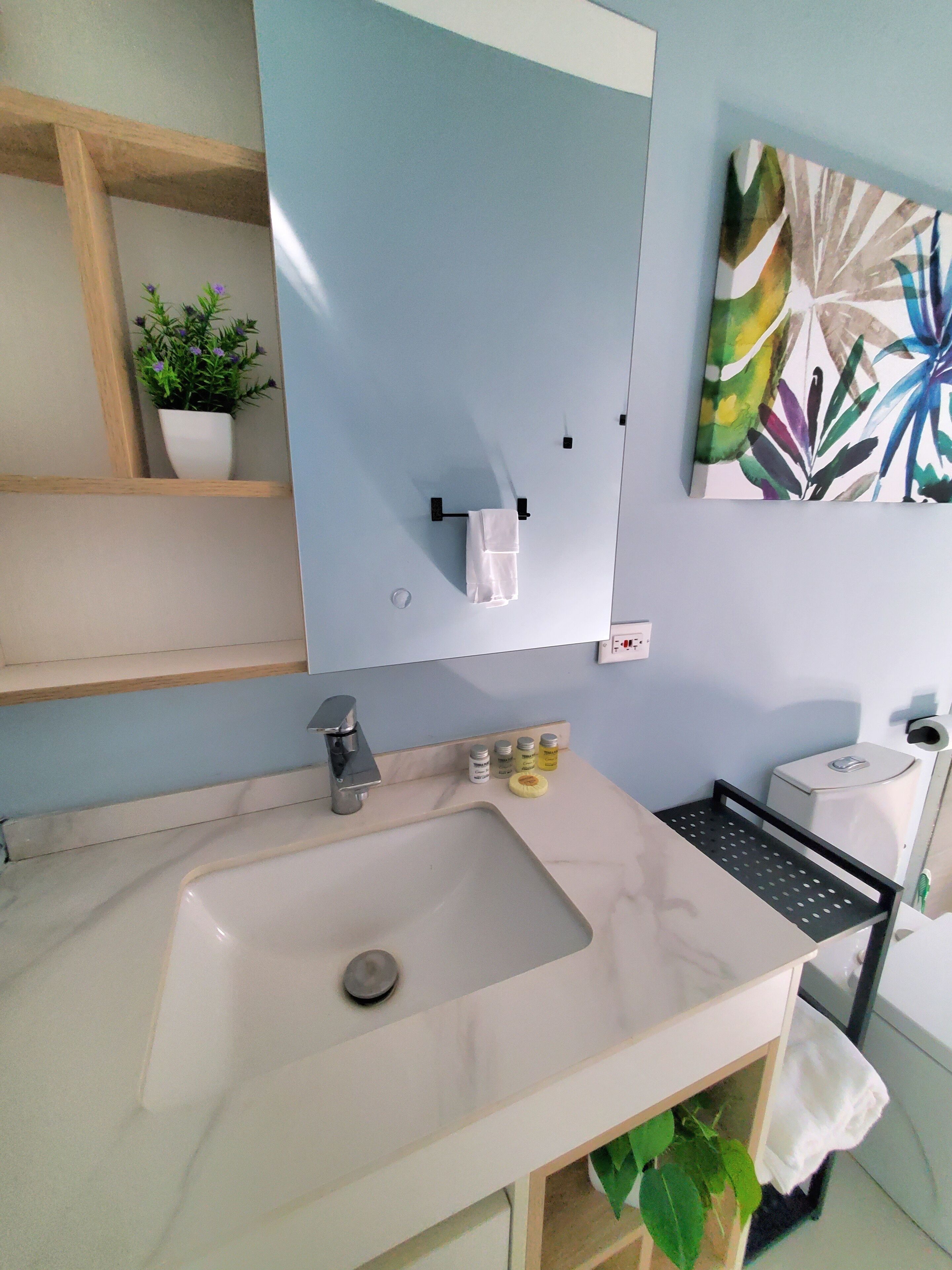 A bathroom with a white sink, a mirror, a shelf with a potted plant, and a toilet.