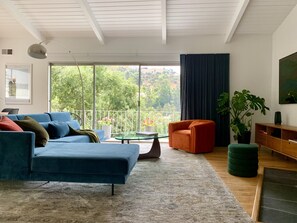 TV connectée, cheminée, livres