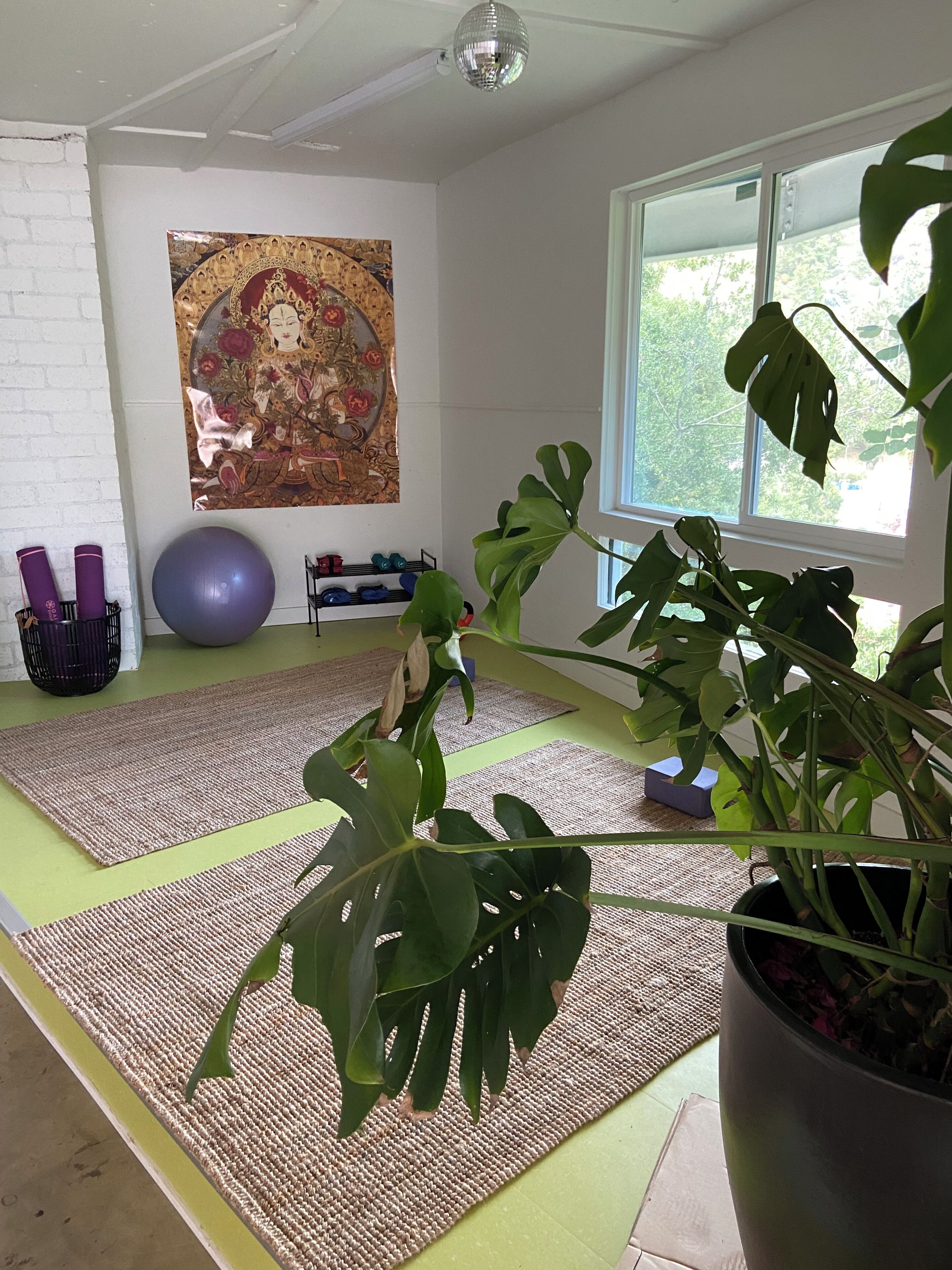 Uma sala de yoga com tapetes, uma planta grande e uma parede com um quadro decorativo.