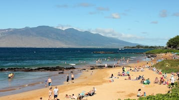 Una playa cerca