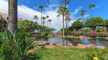 A landscaped garden with a pond, palm trees, and a wooden bridge.
