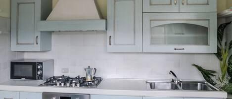 Oven, stovetop, toaster