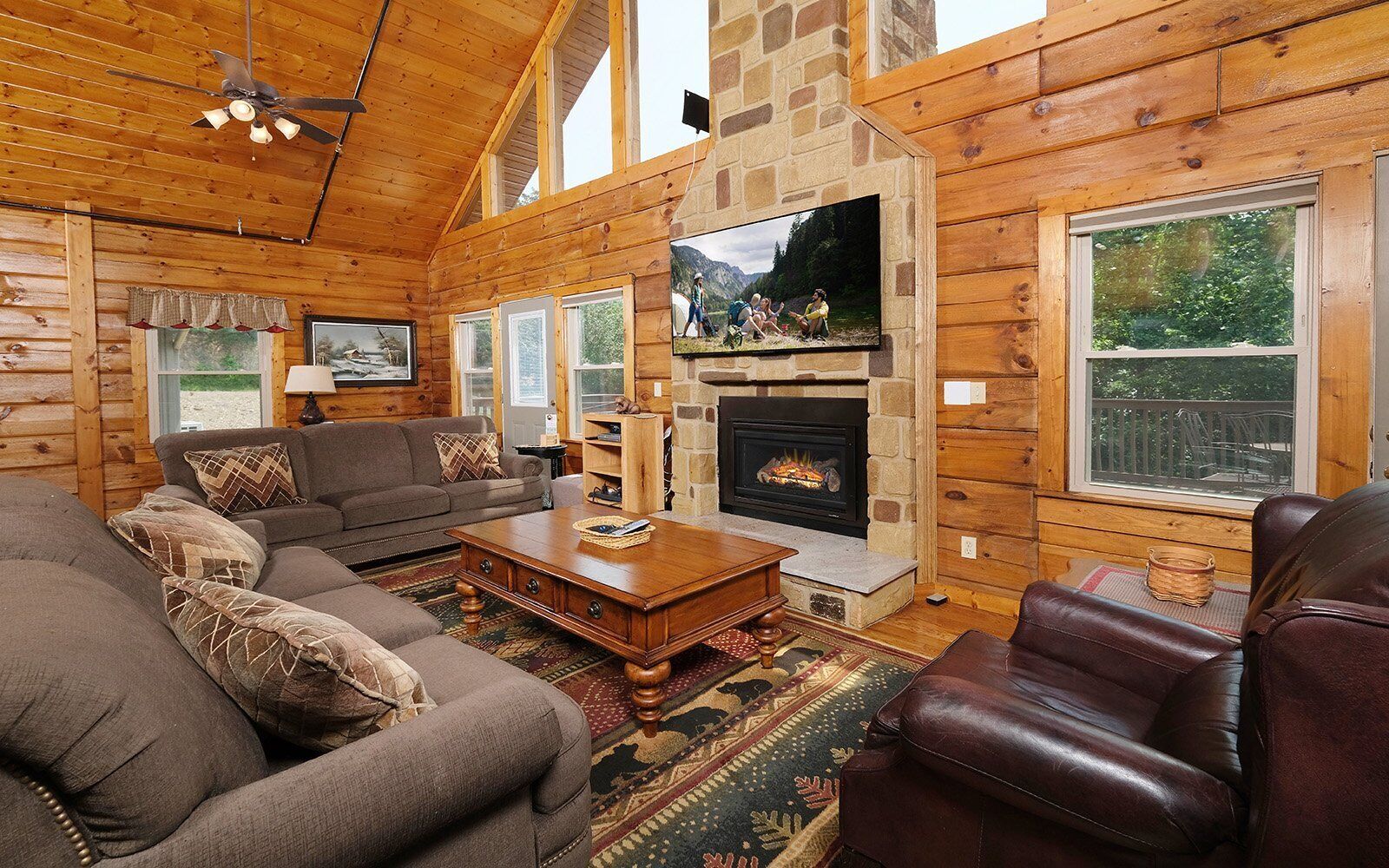 TV, fireplace, video games, DVD player