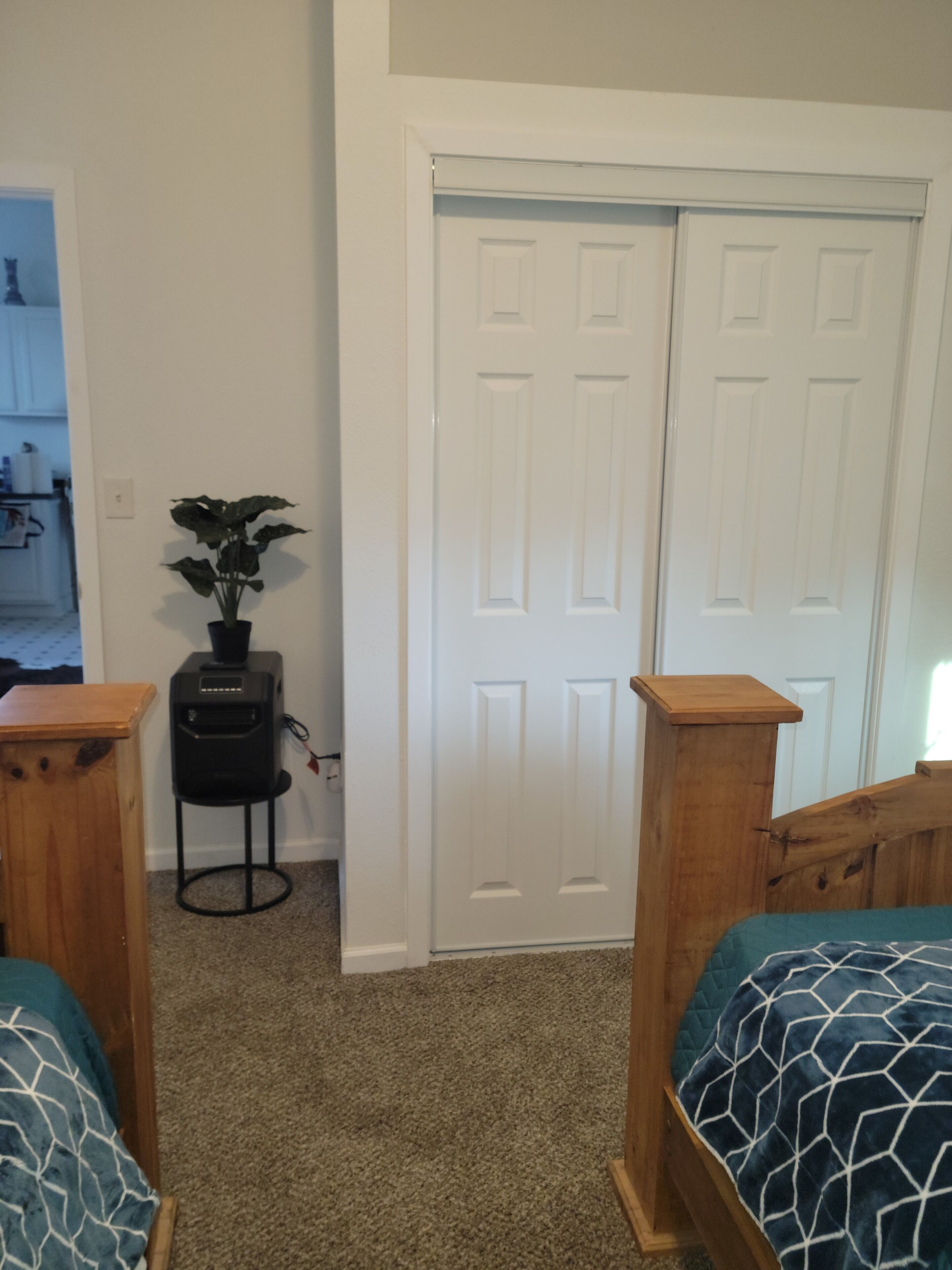 Une chambre avec deux lits en bois, un radiateur, une plante en pot et une porte blanche.