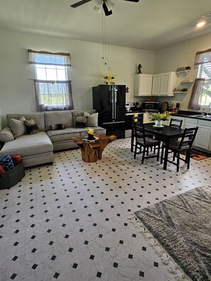Smart TV, fireplace, computer monitors